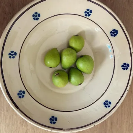 Appartamento Dimora Barbacana